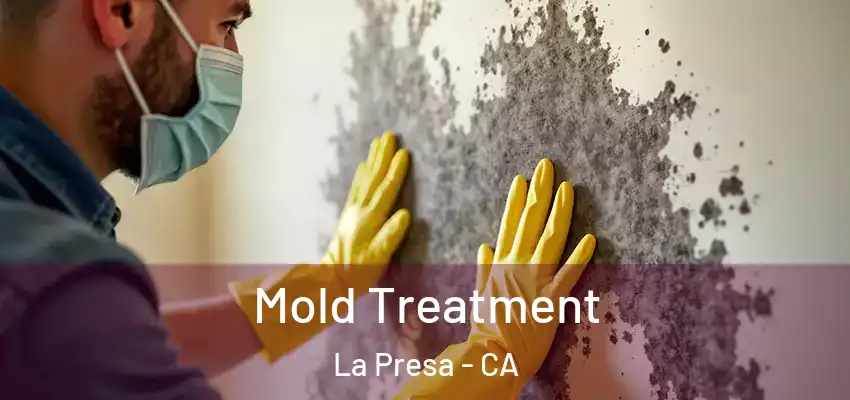 Mold Treatment La Presa - CA