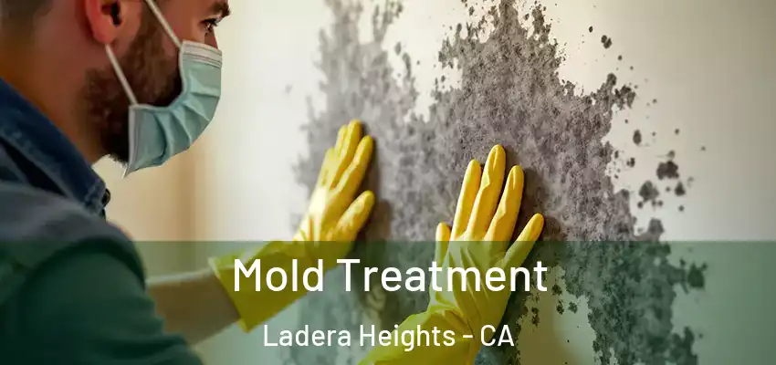  Mold Treatment Ladera Heights - CA