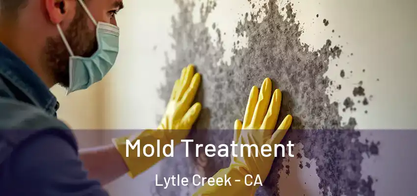  Mold Treatment Lytle Creek - CA