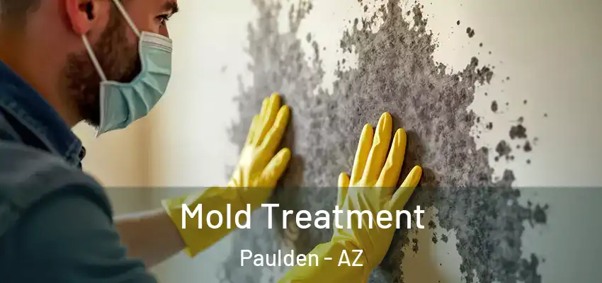  Mold Treatment Paulden - AZ