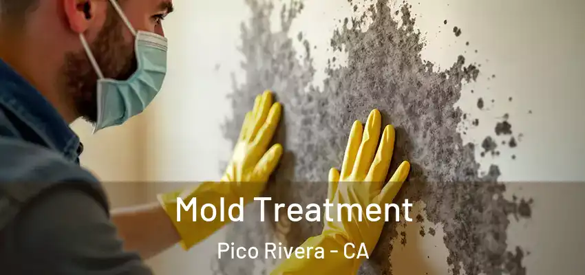  Mold Treatment Pico Rivera - CA