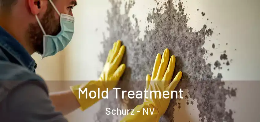  Mold Treatment Schurz - NV