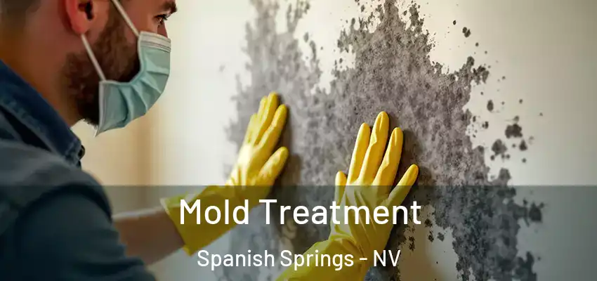 Mold Treatment Spanish Springs - NV
