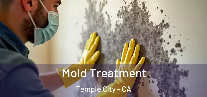  Mold Treatment Temple City - CA