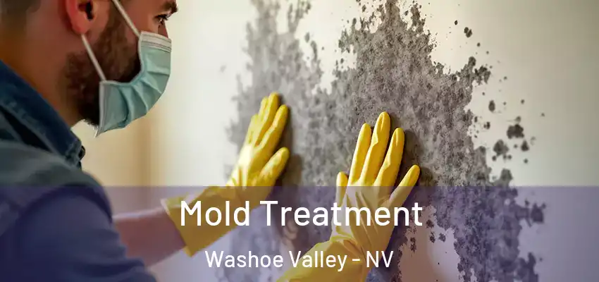 Mold Treatment Washoe Valley - NV