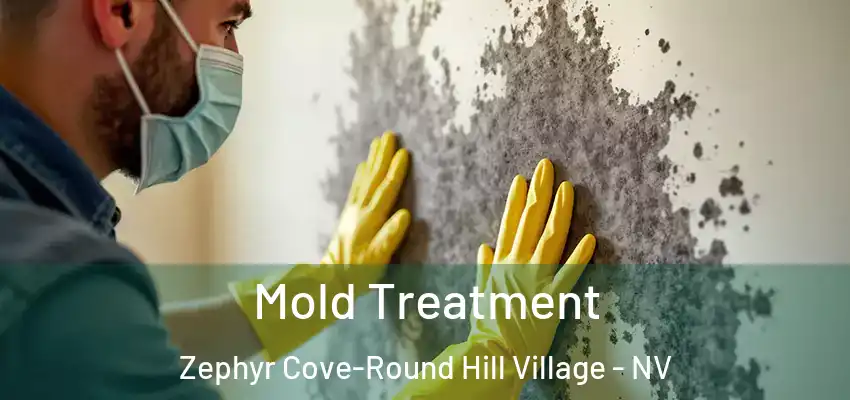 Mold Treatment Zephyr Cove-Round Hill Village - NV