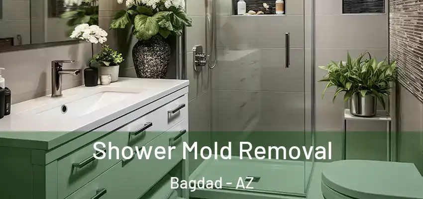  Shower Mold Removal Bagdad - AZ