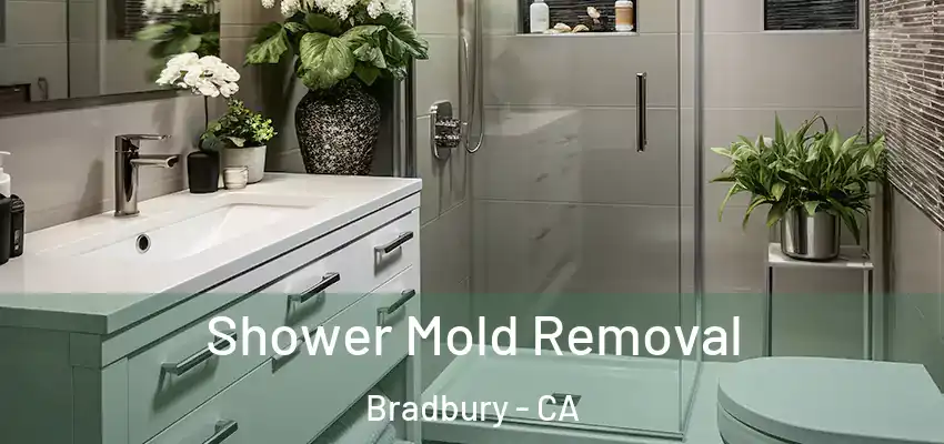  Shower Mold Removal Bradbury - CA