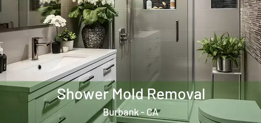  Shower Mold Removal Burbank - CA