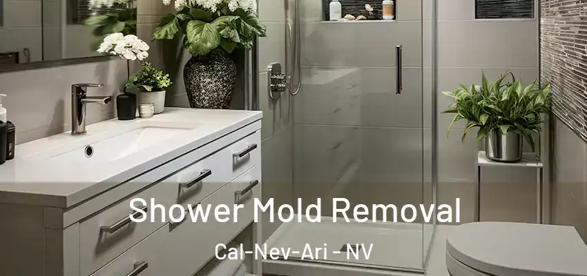  Shower Mold Removal Cal-Nev-Ari - NV