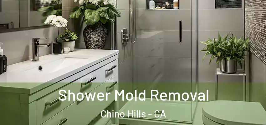  Shower Mold Removal Chino Hills - CA