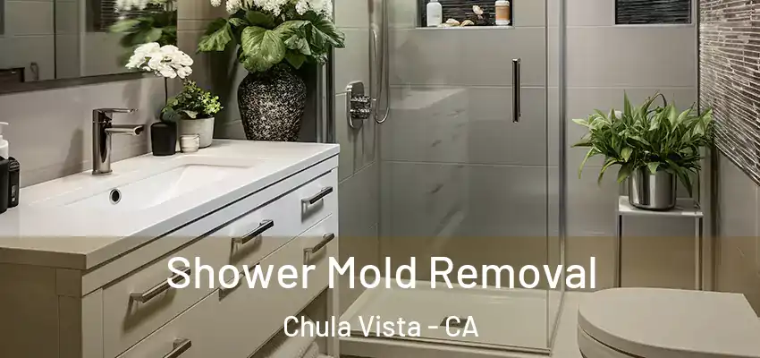 Shower Mold Removal Chula Vista - CA