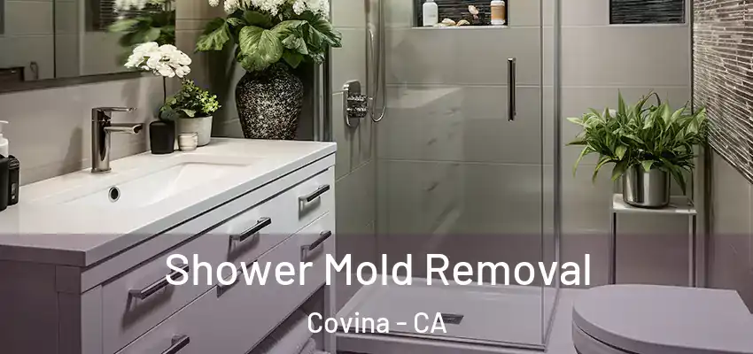  Shower Mold Removal Covina - CA