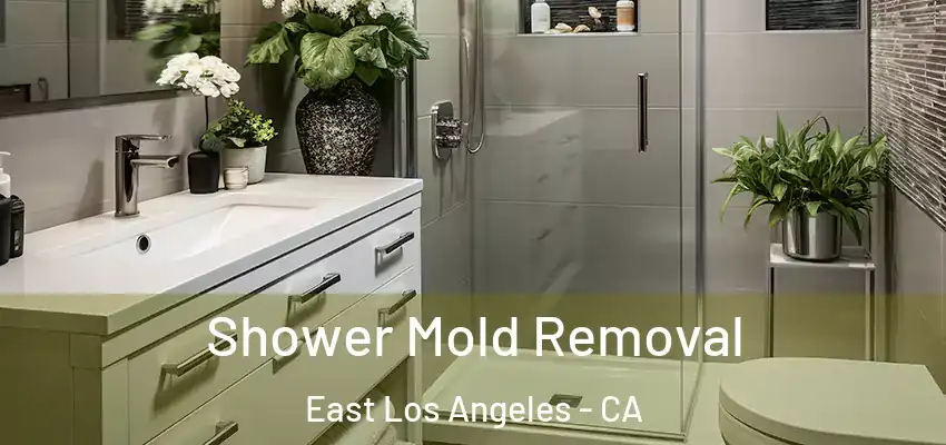  Shower Mold Removal East Los Angeles - CA