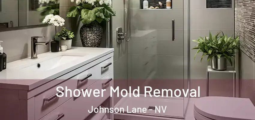  Shower Mold Removal Johnson Lane - NV
