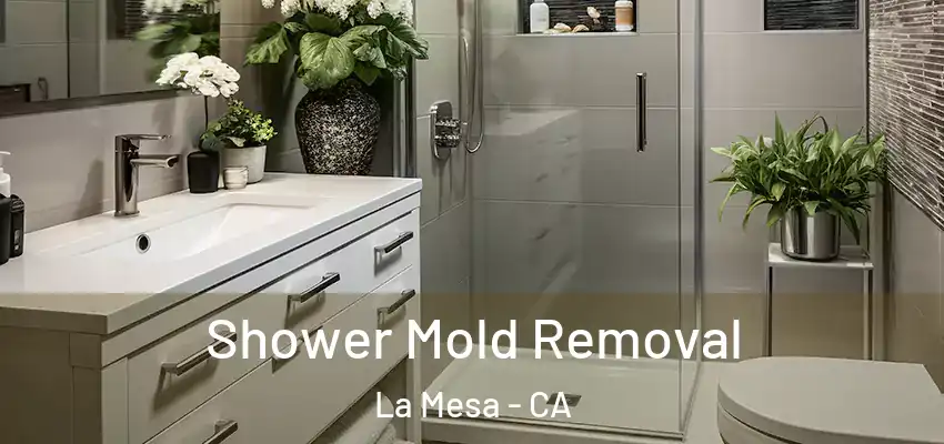  Shower Mold Removal La Mesa - CA