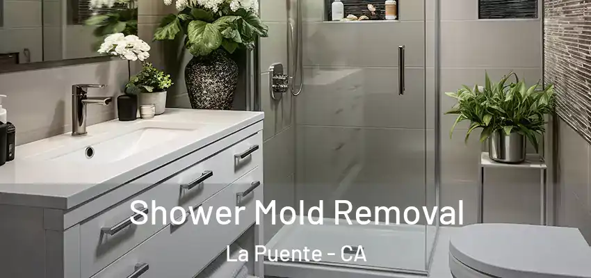 Shower Mold Removal La Puente - CA