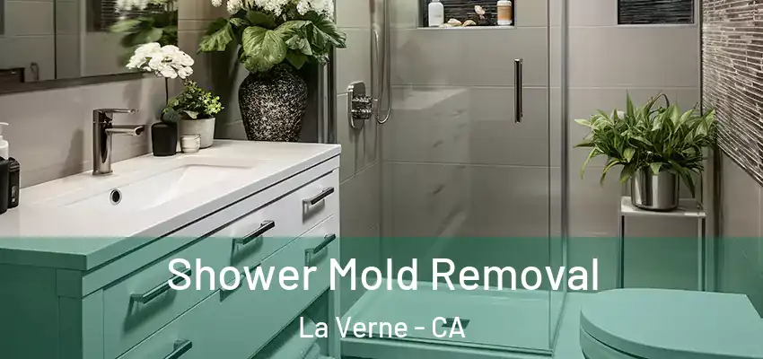  Shower Mold Removal La Verne - CA