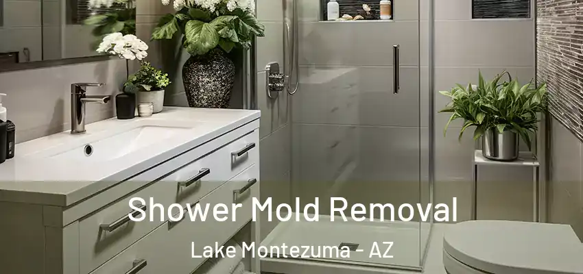  Shower Mold Removal Lake Montezuma - AZ