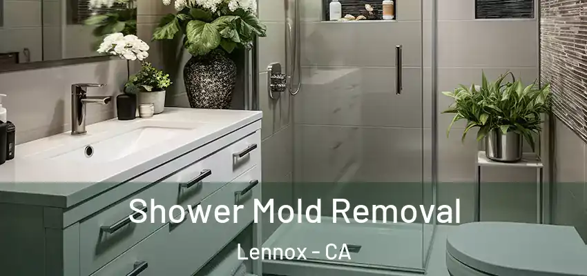 Shower Mold Removal Lennox - CA