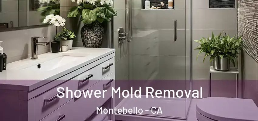 Shower Mold Removal Montebello - CA