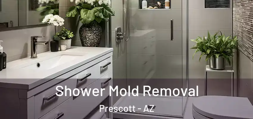 Shower Mold Removal Prescott - AZ
