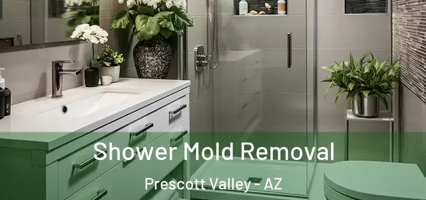  Shower Mold Removal Prescott Valley - AZ