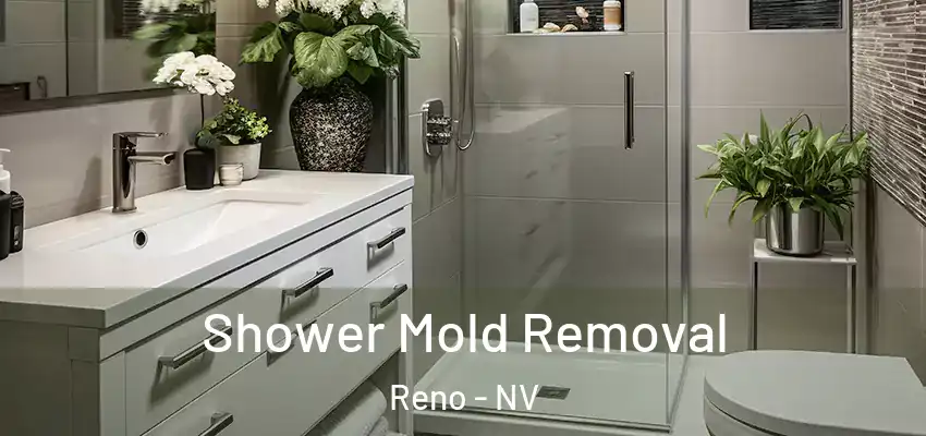  Shower Mold Removal Reno - NV