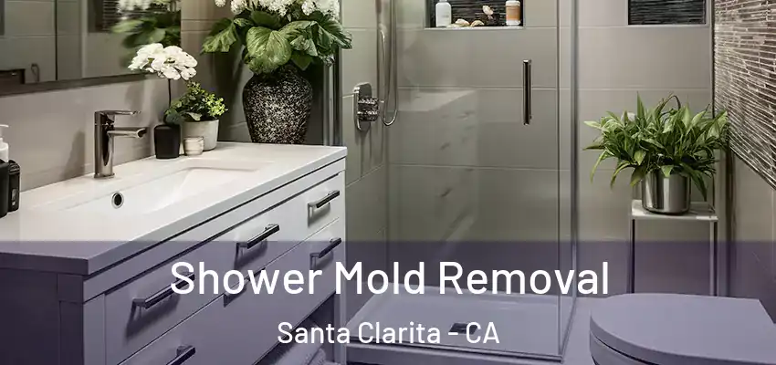 Shower Mold Removal Santa Clarita - CA
