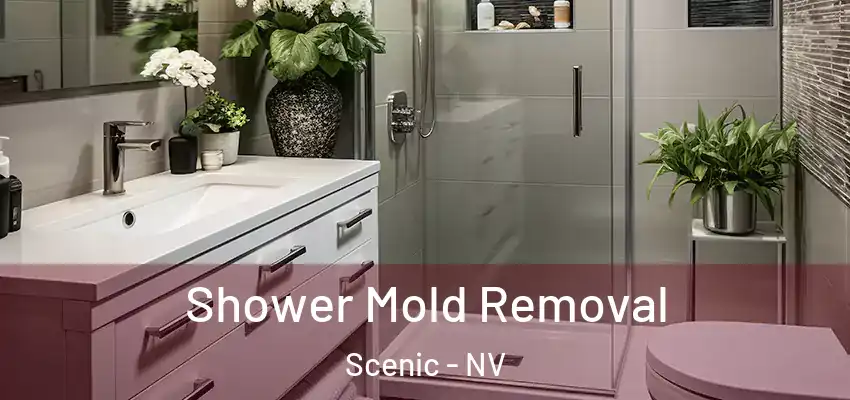  Shower Mold Removal Scenic - NV