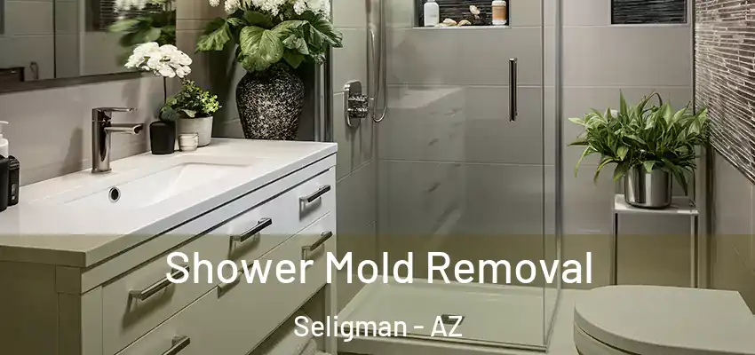 Shower Mold Removal Seligman - AZ