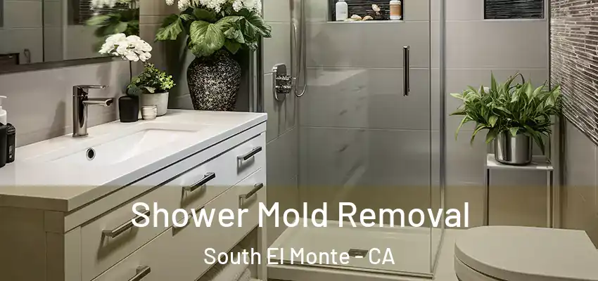  Shower Mold Removal South El Monte - CA