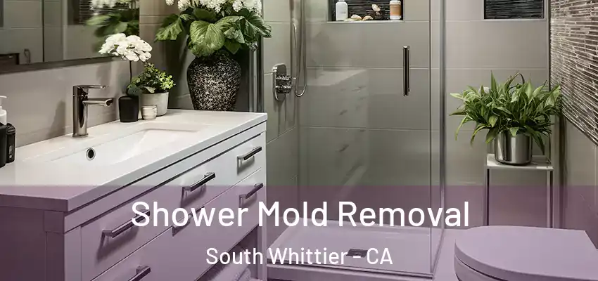  Shower Mold Removal South Whittier - CA
