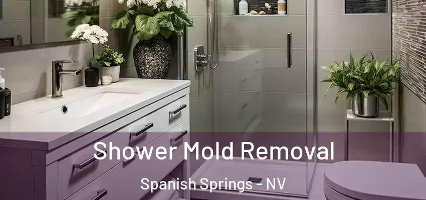  Shower Mold Removal Spanish Springs - NV