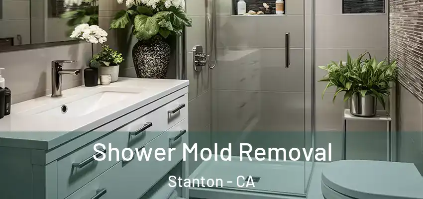 Shower Mold Removal Stanton - CA