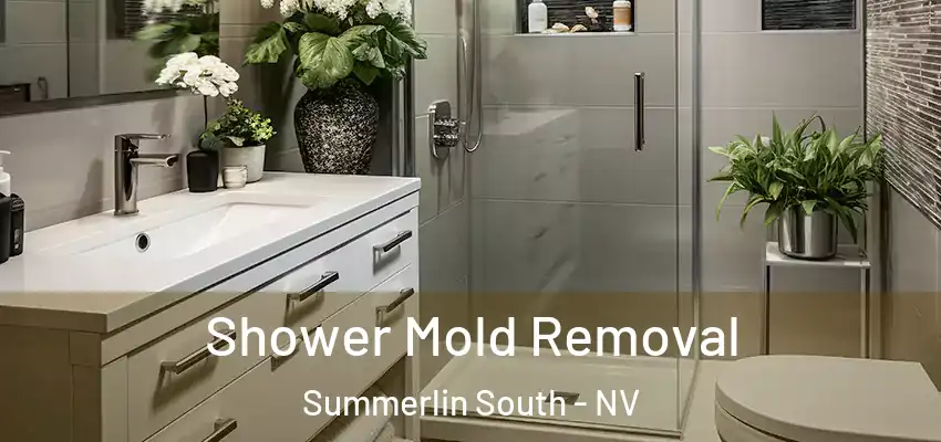  Shower Mold Removal Summerlin South - NV