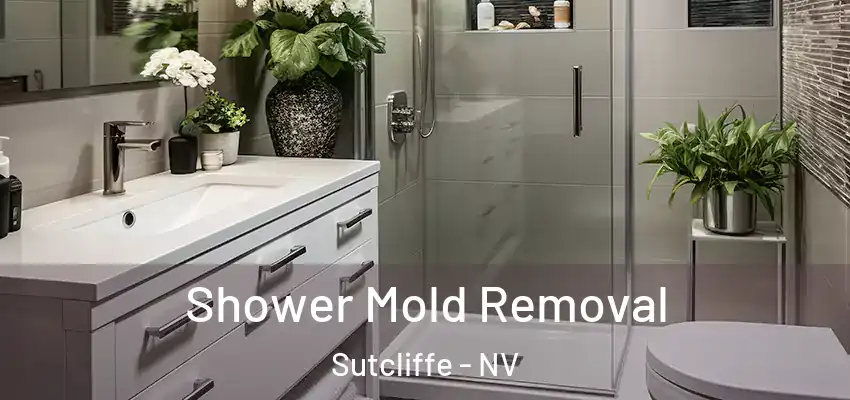  Shower Mold Removal Sutcliffe - NV