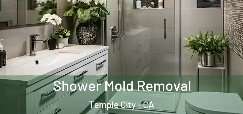  Shower Mold Removal Temple City - CA