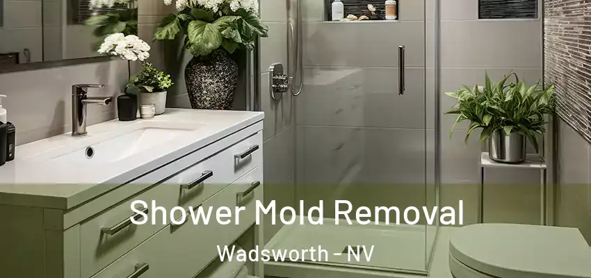  Shower Mold Removal Wadsworth - NV