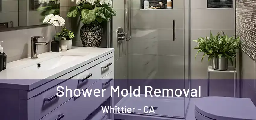 Shower Mold Removal Whittier - CA