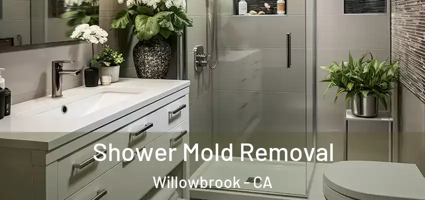 Shower Mold Removal Willowbrook - CA